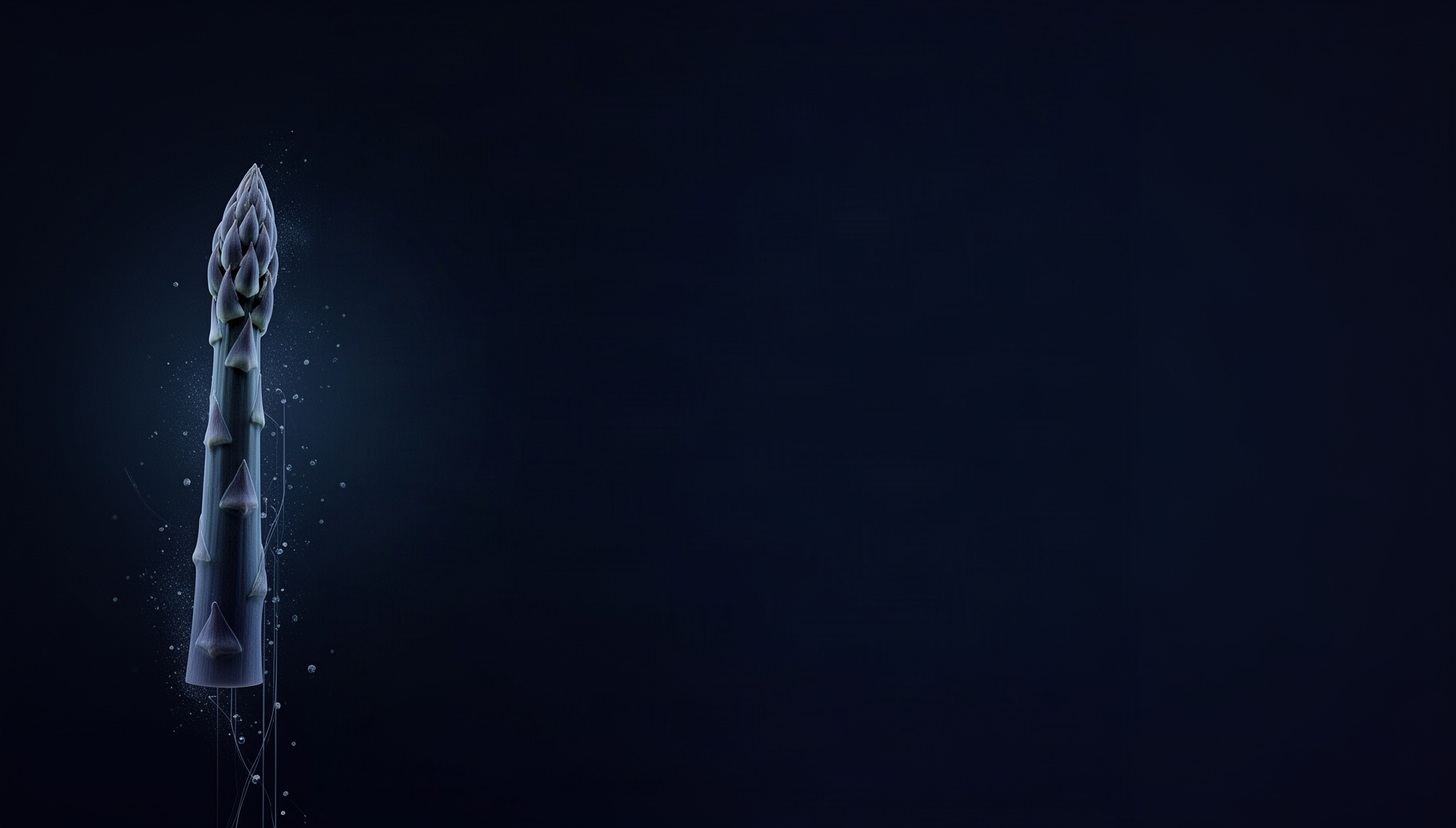 Food presentation background with a holographic asparagus spear on the left edge, deep navy