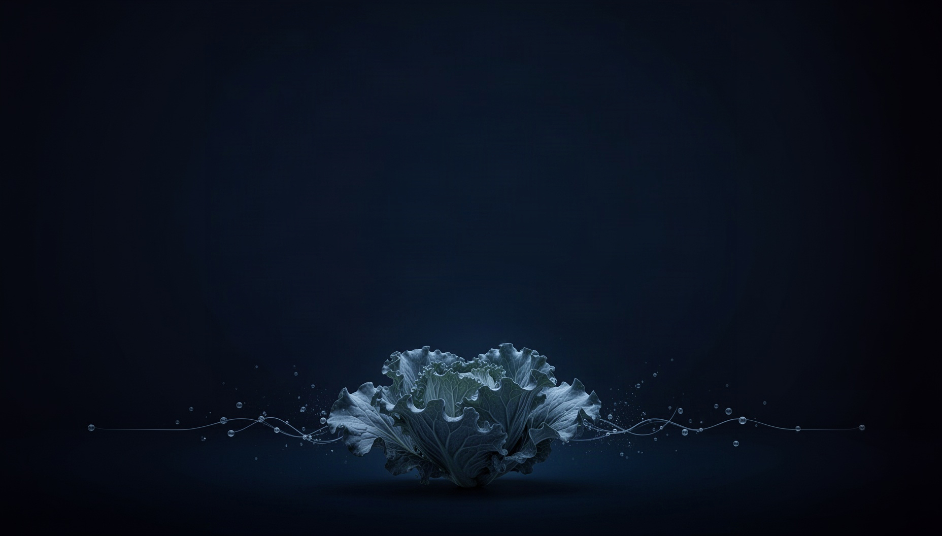 Food presentation background with a holographic cabbage leaf edge along the bottom edge, deep navy