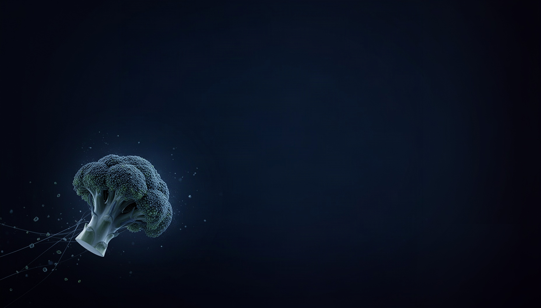 Food presentation background with a holographic broccoli floret in opposite corners (bottom left, top right), deep navy