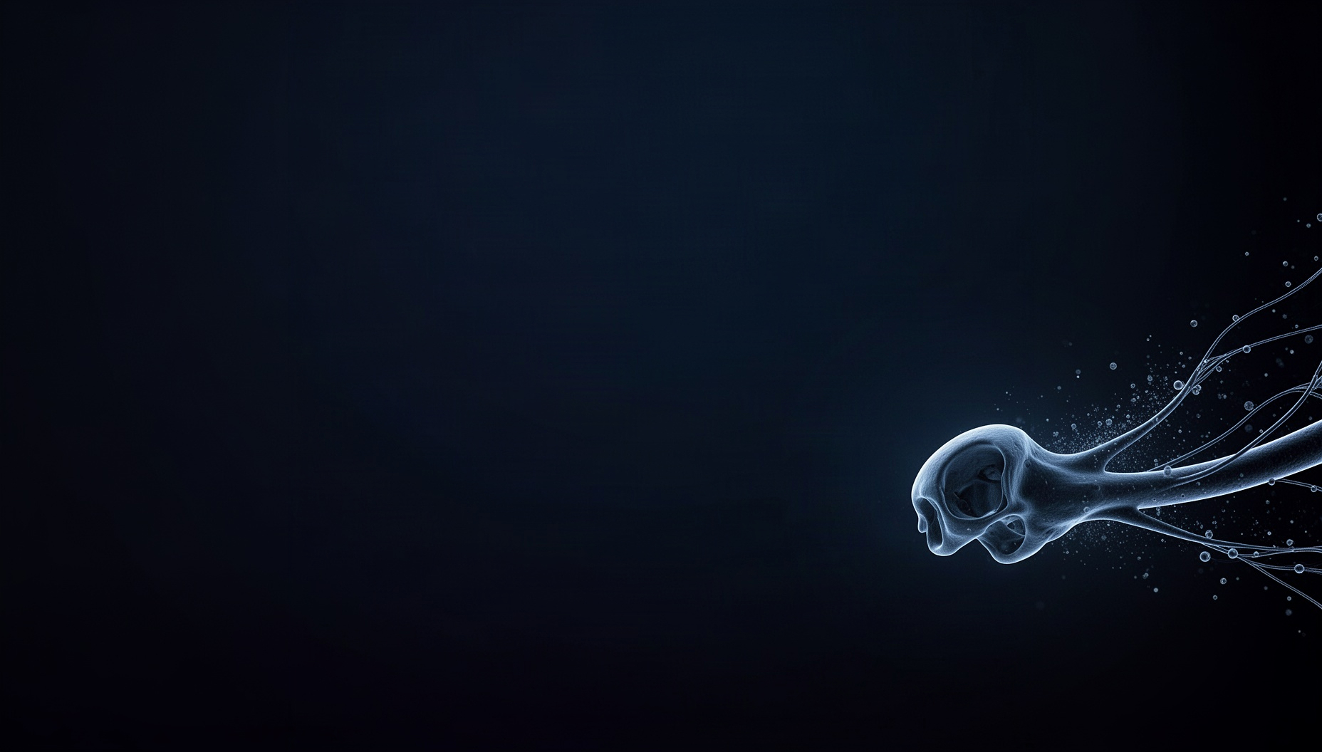 Nervous system slide background with a realistic cranial nerve in opposite corners, deep navy