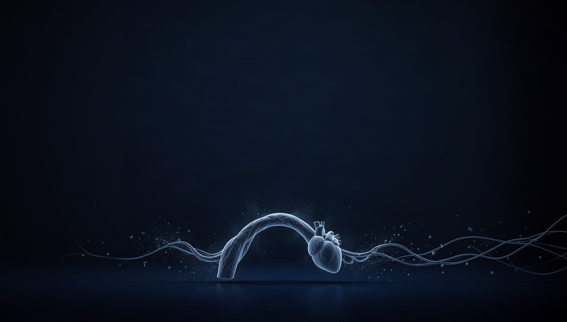 Heart Slide Background | Twistly