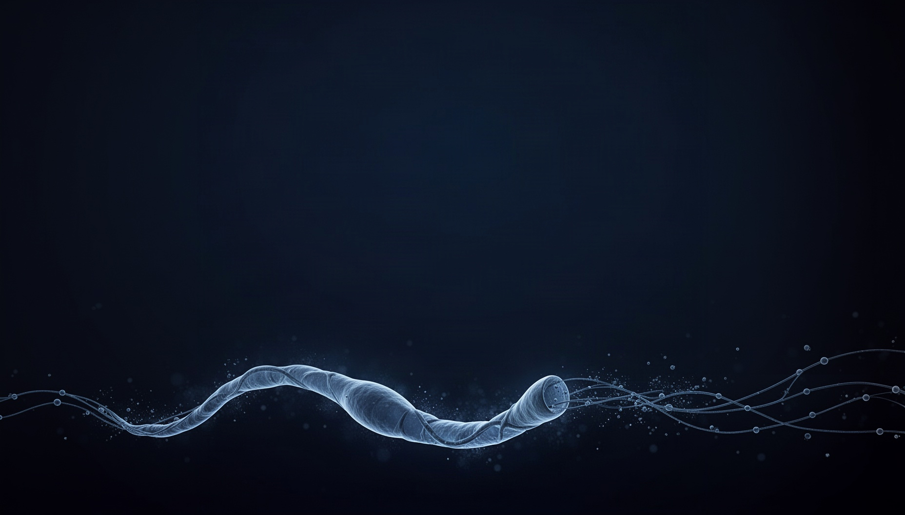 Neuron slide background with a dramatically lit myelinated axon along the bottom edge, deep navy
