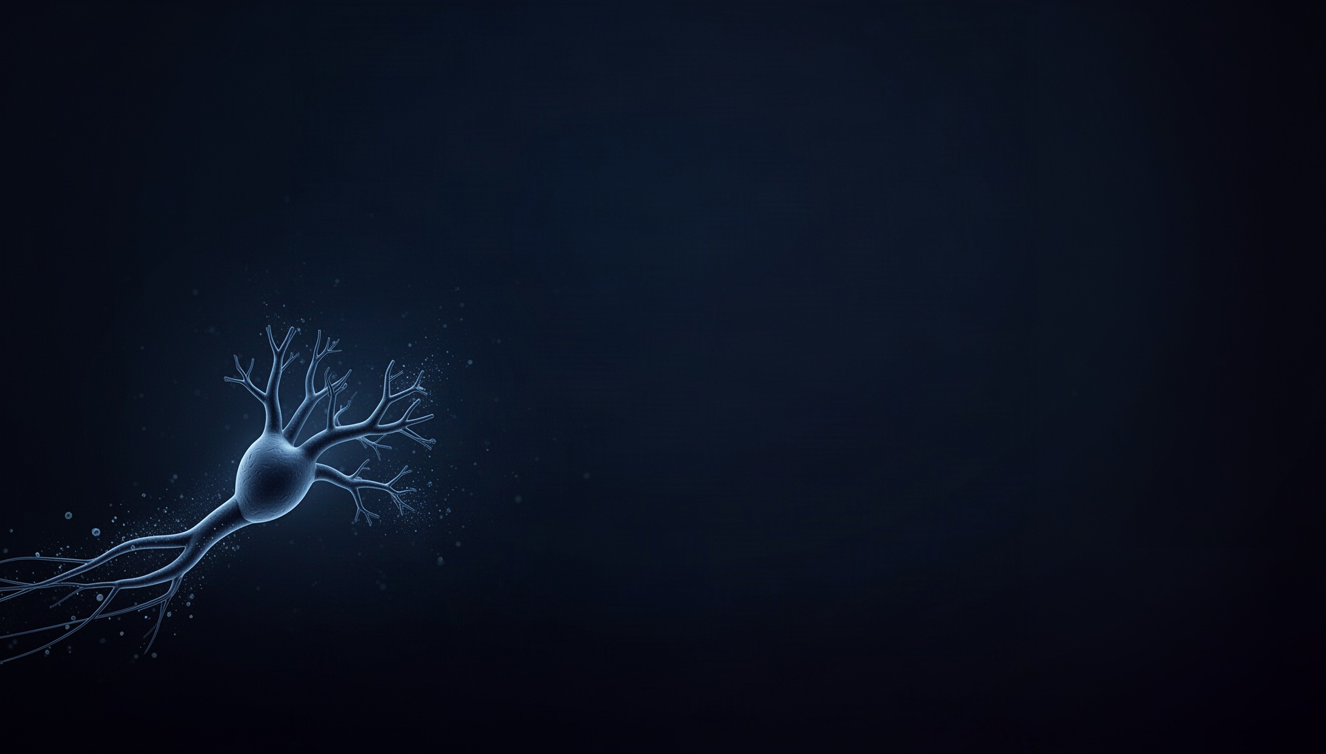 Lung powerpoint background with a illustrated coronary artery in opposite corners (bottom left, top right), deep navy
