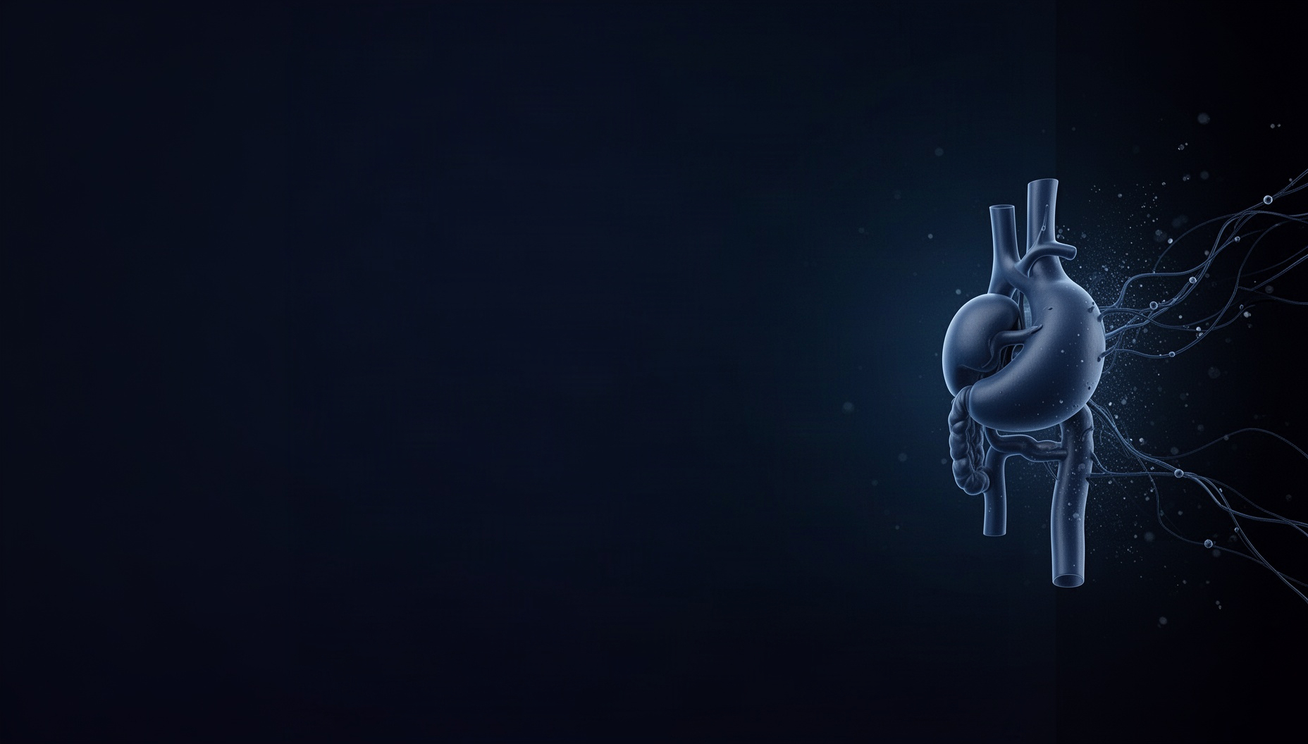 Navy blue slide background with a holographic mesenteric artery on the right edge, deep navy