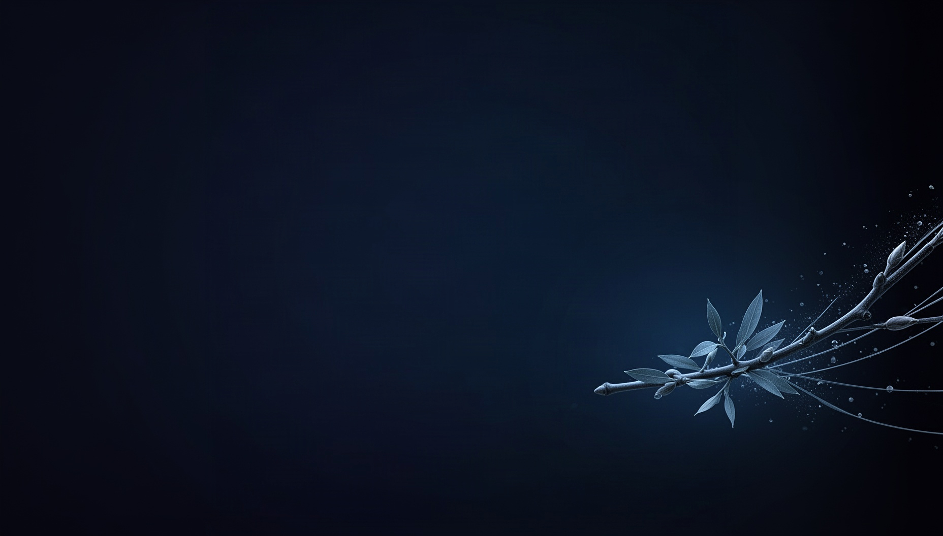 Nature slide background with a willow twig in opposite corners (top left, bottom right), deep navy