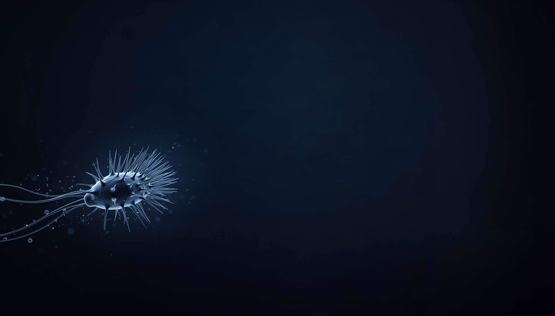 Histology powerpoint background with a blue cluster of cilia in opposite corners (bottom left, top right), deep navy