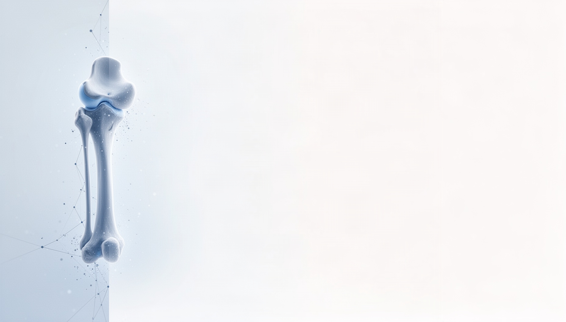 Skeleton PowerPoint background with a holographic femur on the left edge, white