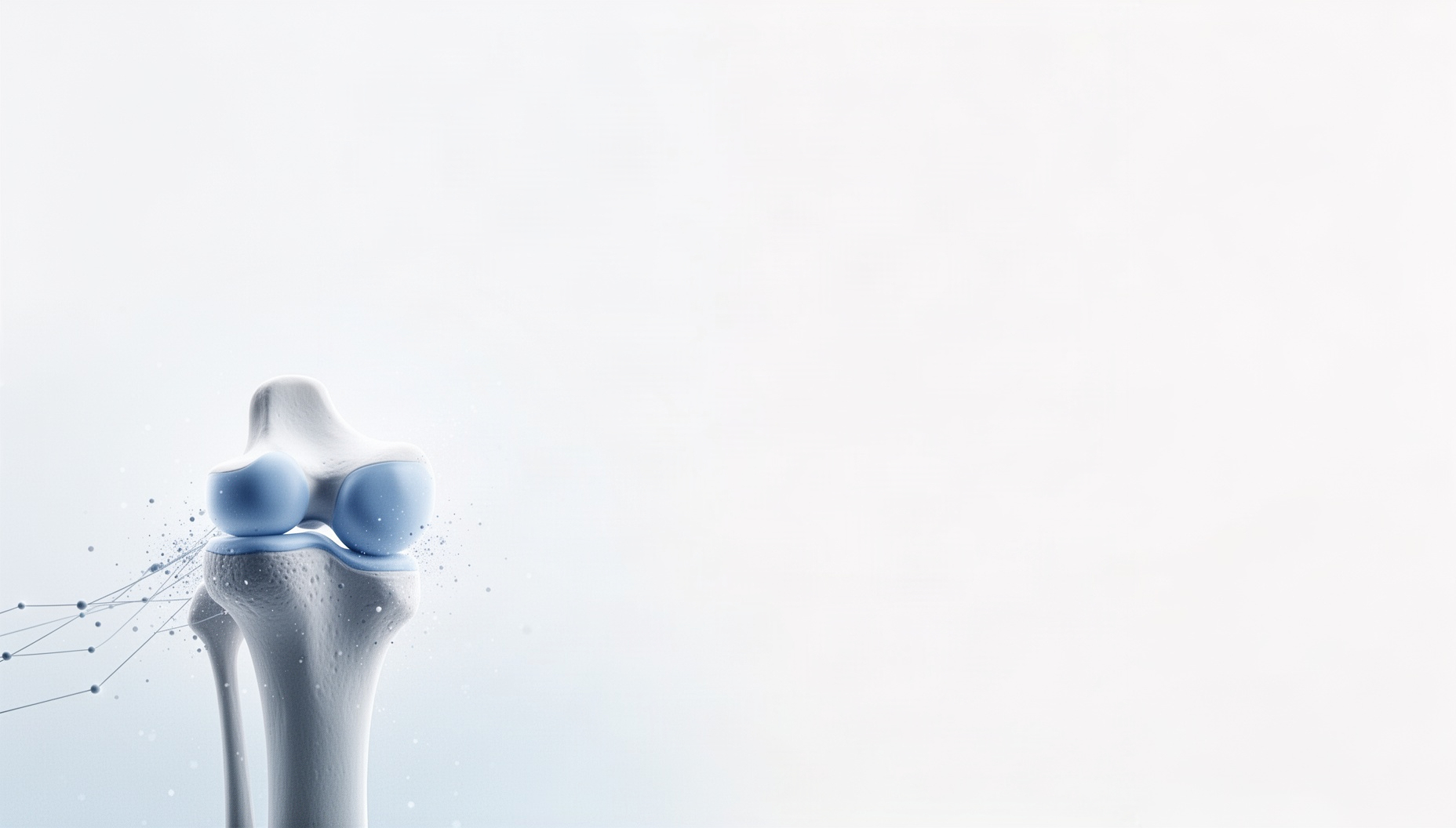 Orthopedic PowerPoint background with a holographic tibial tuberosity in opposite corners (bottom left, top right), white