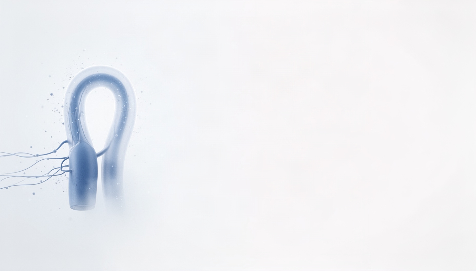 Powerpoint Simple Edge Blue Background Urology PowerPoint Background | Twistly
