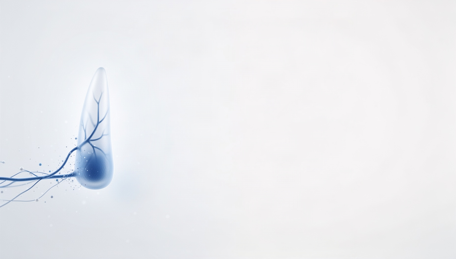 Dermatology PowerPoint background with a holographic dermal venule on the left edge, white