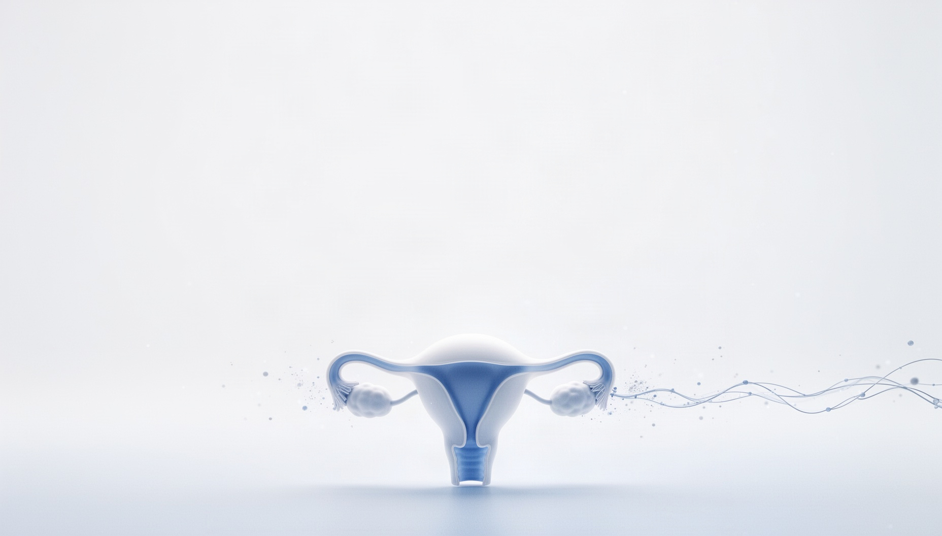 Gynecology PowerPoint background with an uterus along the bottom edge, white