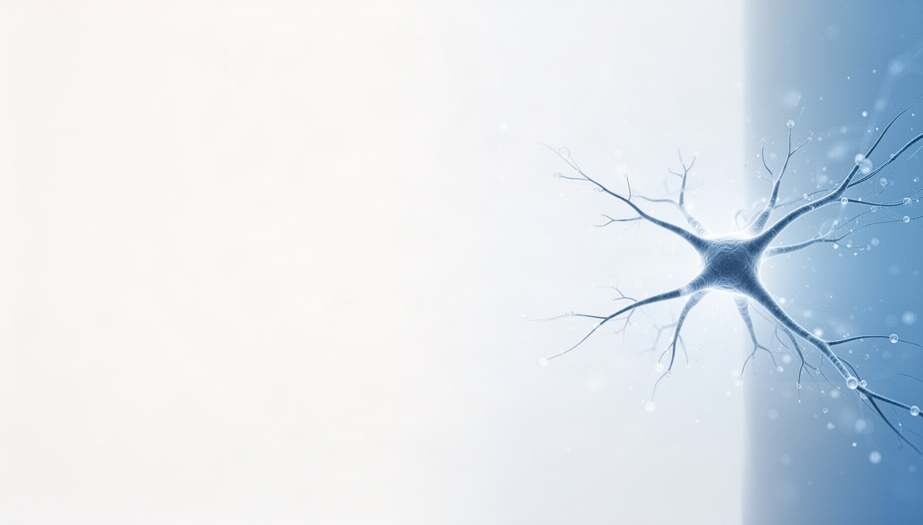 Biology presentation background with a holographic developing neuron on the right edge, white
