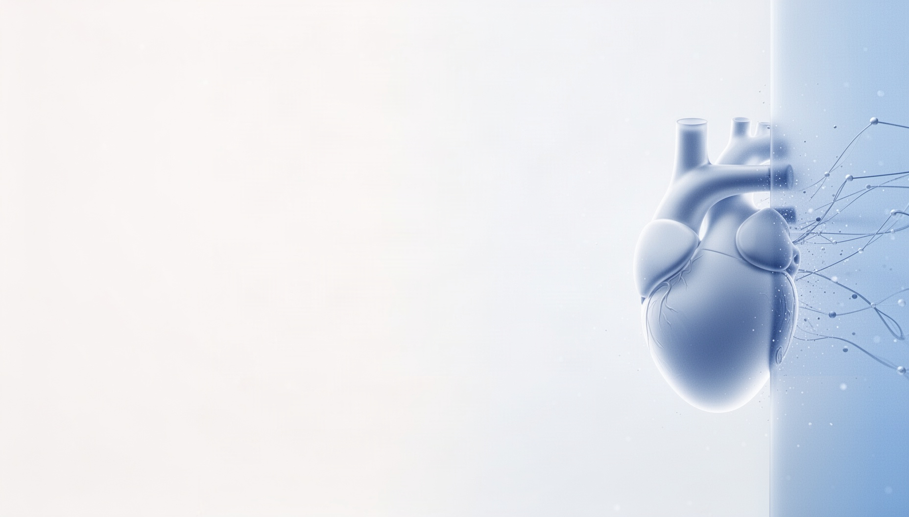 Heart powerpoint background with a aortic arch on the right edge, white