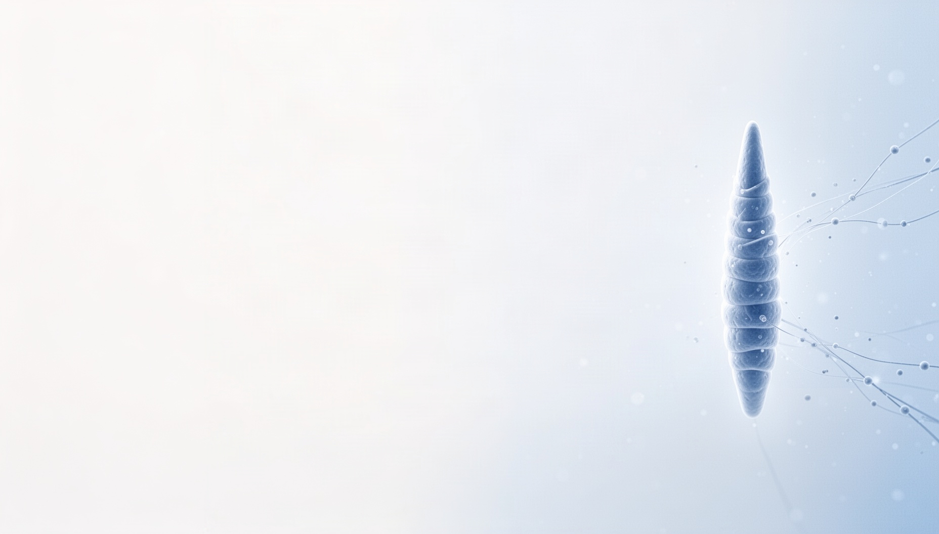 Light blue slide background with a cilium tip on the right edge, white