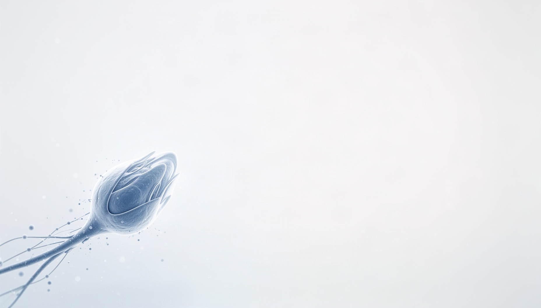 Light blue slide background with a golgi apparatus in opposite corners, white