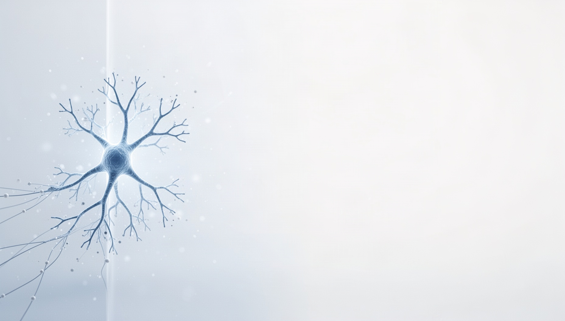Neuron powerpoint background with a pale blue motor neuron on the left edge, white