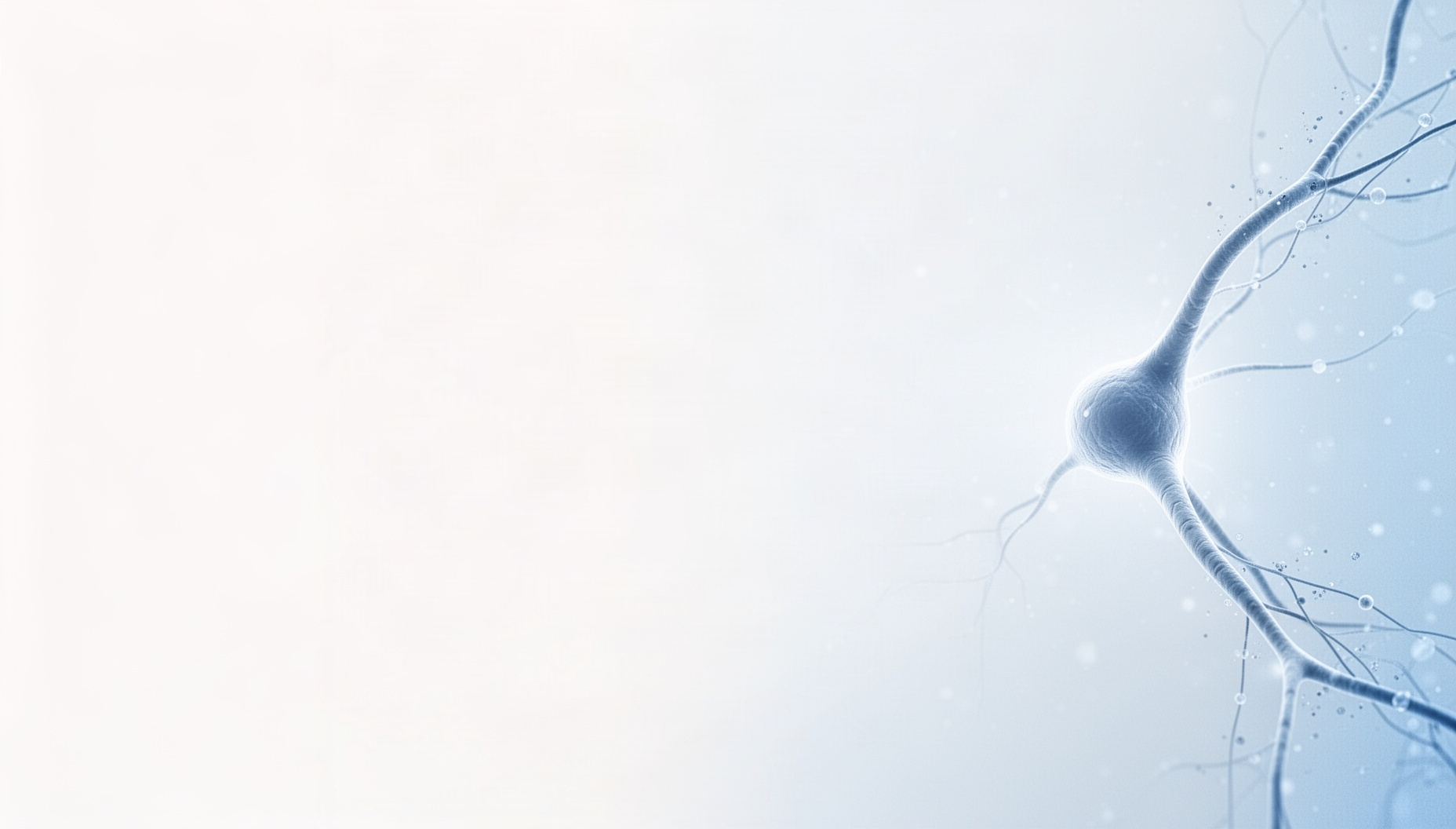 Neuron powerpoint background with a pale blue sensory neuron on the right edge, white