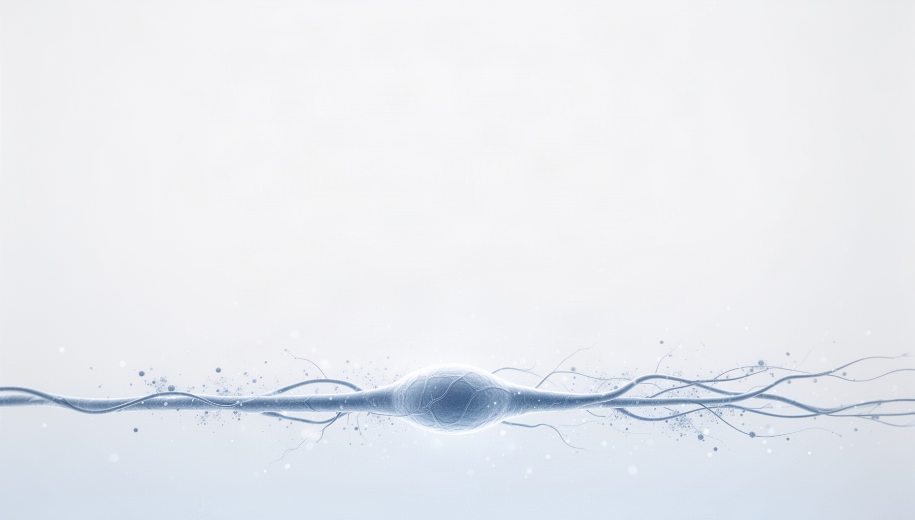 Neuron powerpoint background with a pale blue nerve bundle along the bottom edge, white