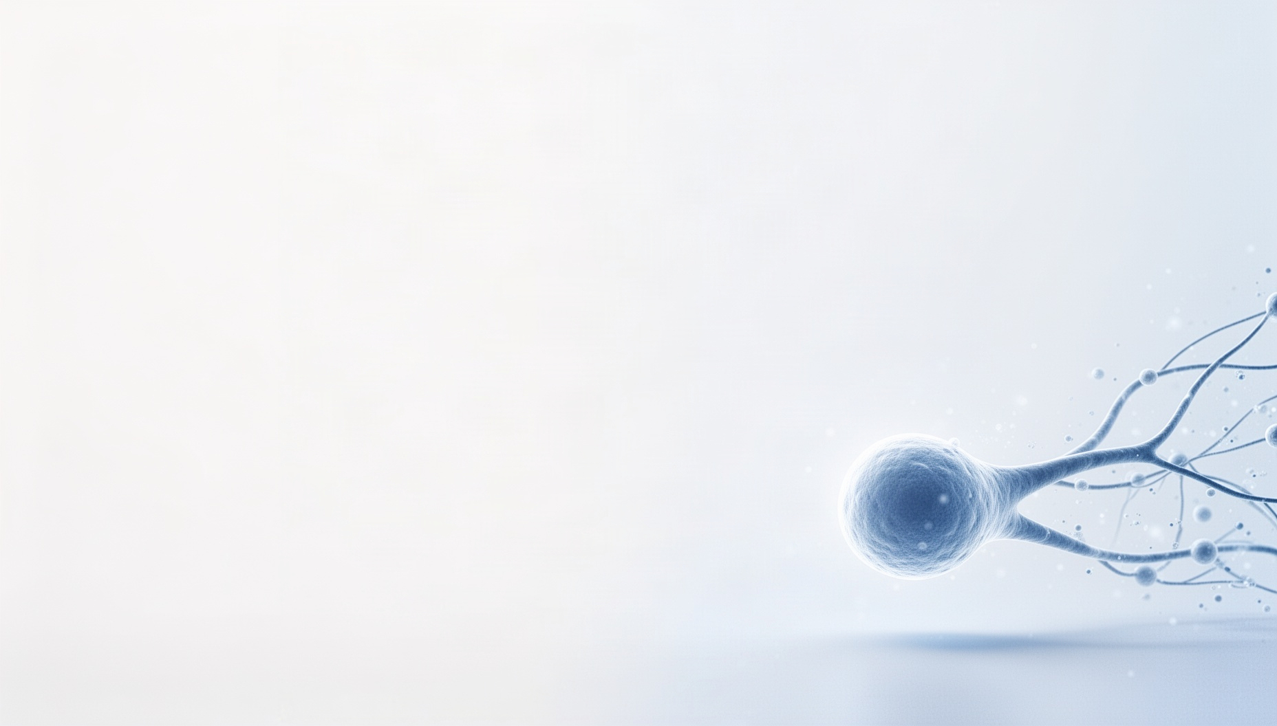 Neuron powerpoint background with a pale blue terminal bouton in opposite corners, white
