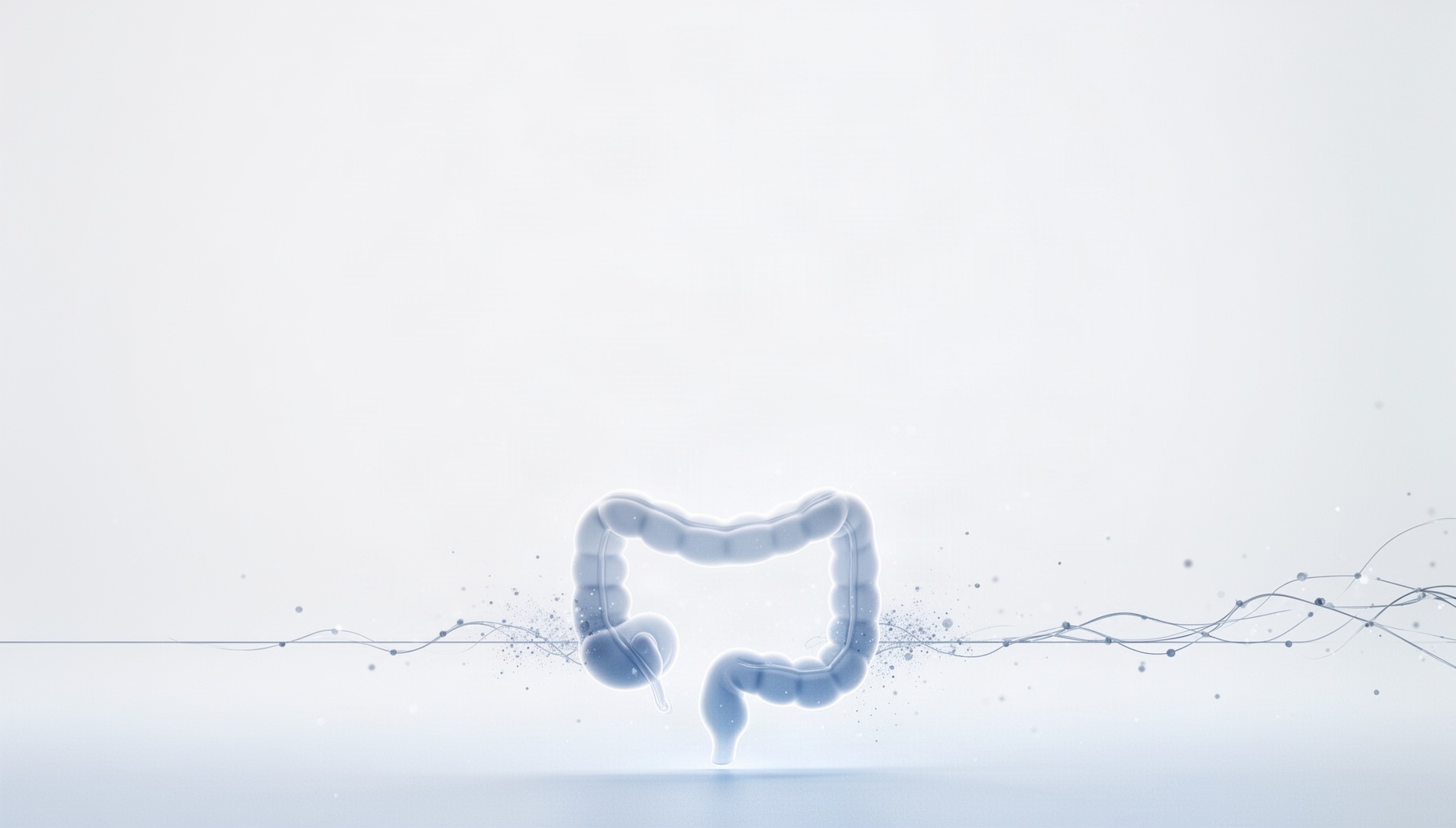 Digestive system powerpoint background with a holographic small intestine along the bottom edge, white