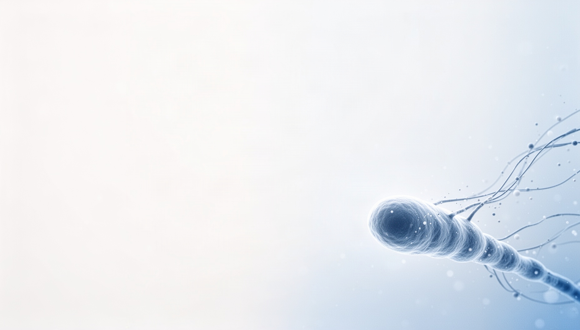 Biology background for slides with a holographic pilus in opposite corners, white