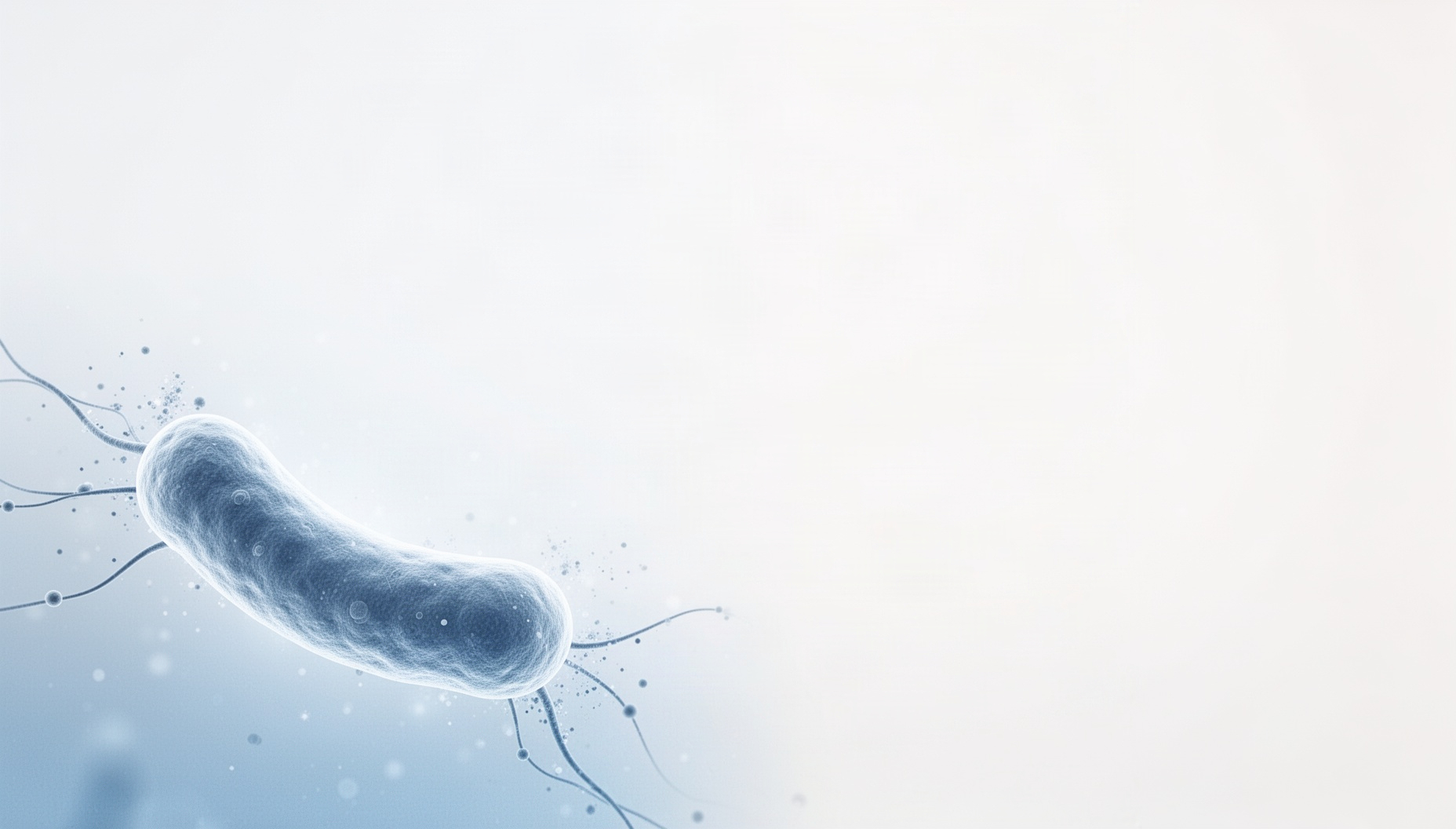 Biology background for slides with a holographic bacterial capsule in opposite corners, white