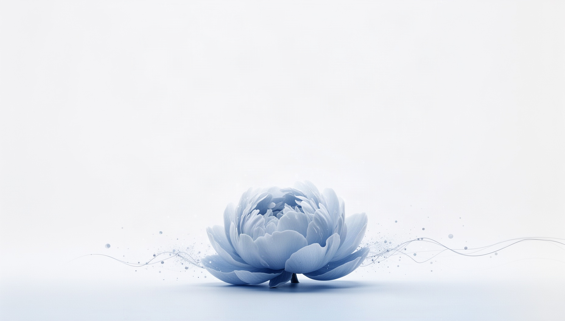 Flower slide background with a holographic peony along the bottom edge, white