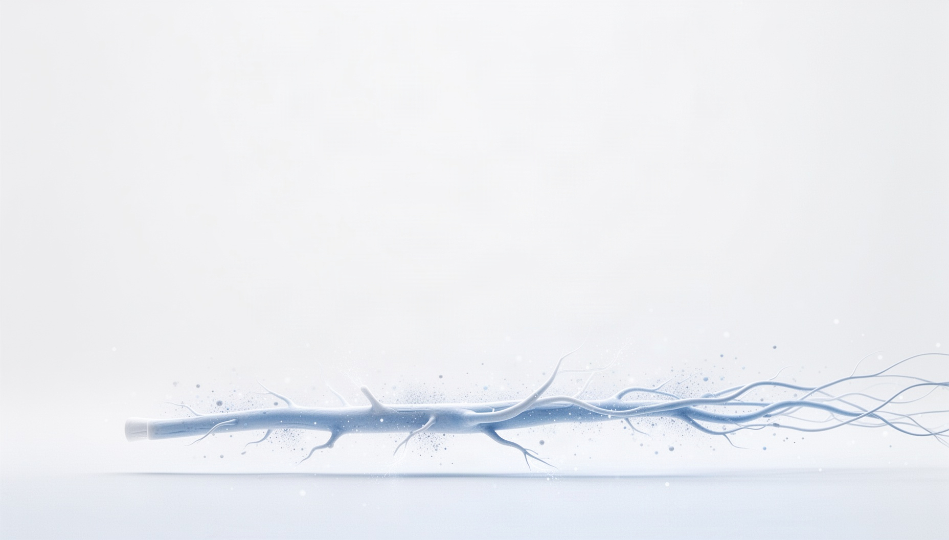 Nervous system PowerPoint background with a holographic sciatic nerve along the bottom edge, white