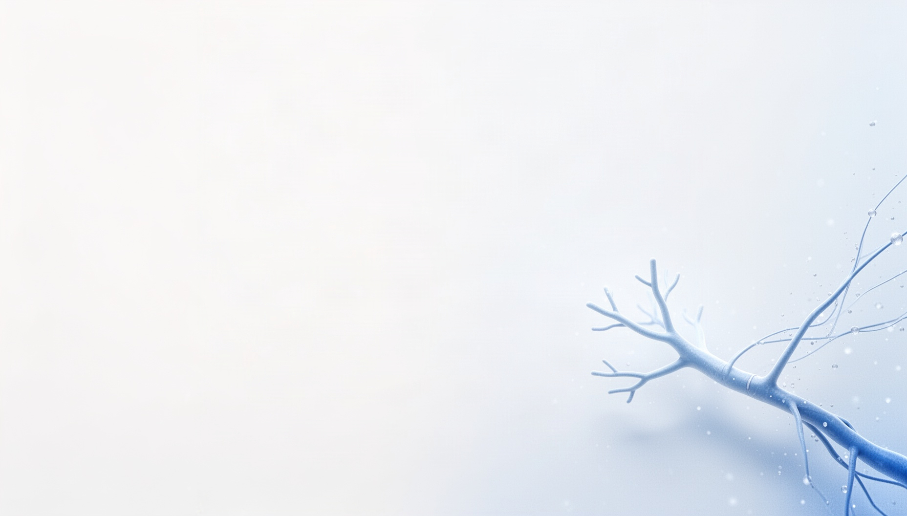 Nervous system PowerPoint background with a holographic genitofemoral nerve in opposite corners, white