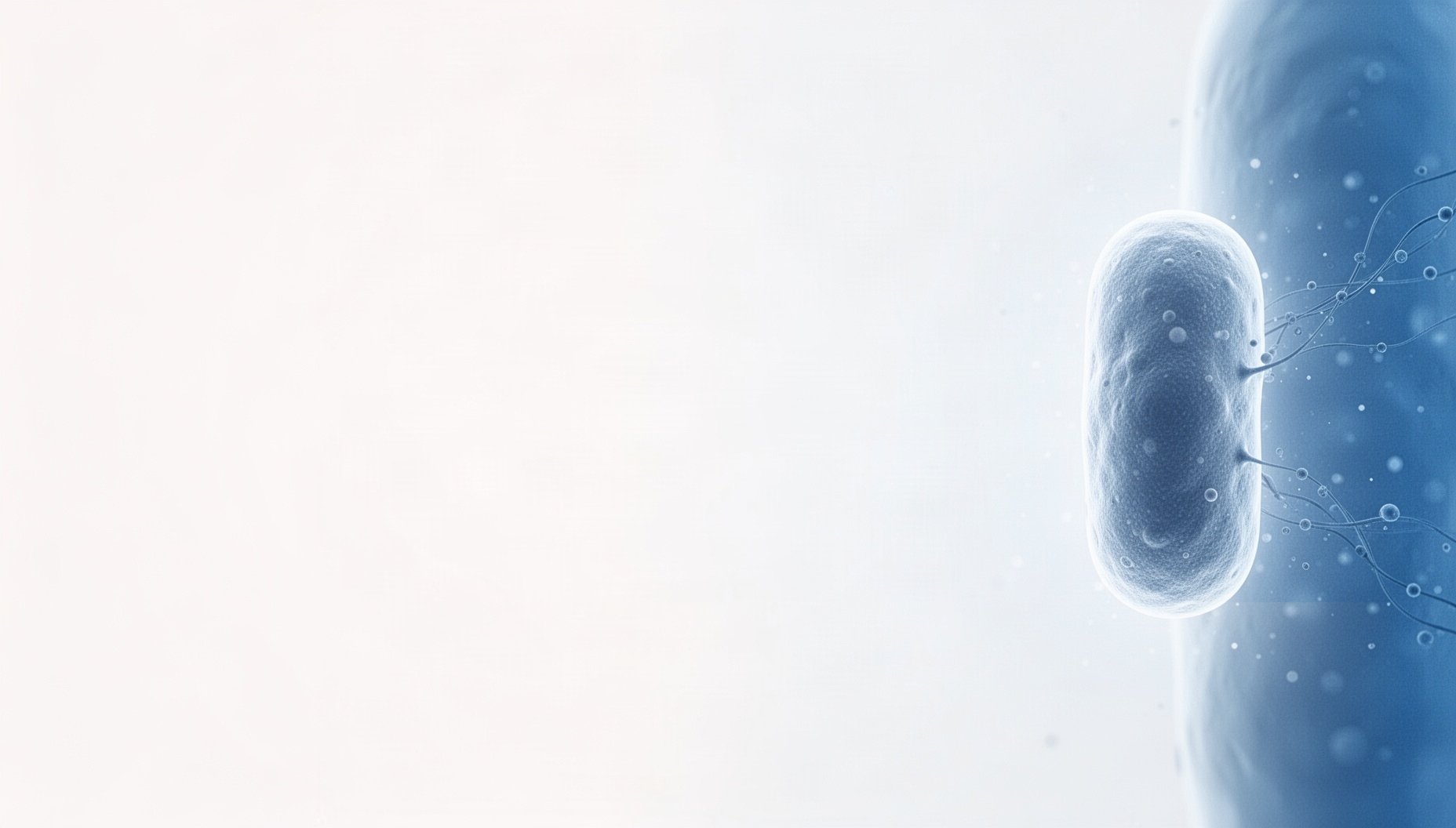Microbiology presentation background with a realistic bacterial capsule on the right edge, white